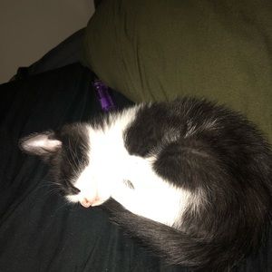 Meet your Posher, Jocelyn